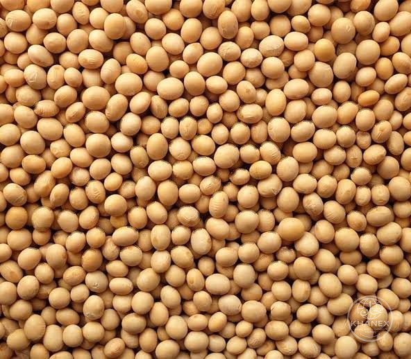 Soybeans