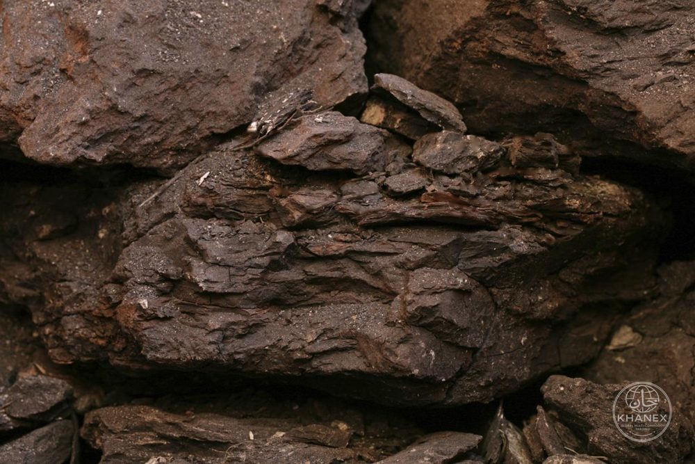 Lignite coal