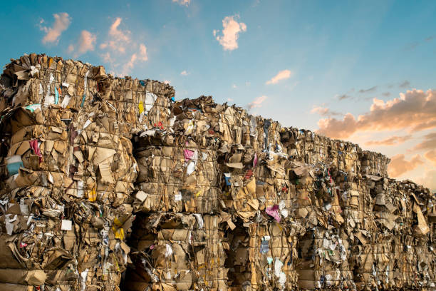 Paper Recycling Operation